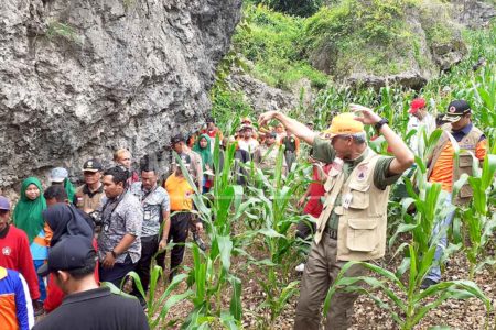 BNPB dan Ganjar Tanam Pohon di Pegunungan Kendeng