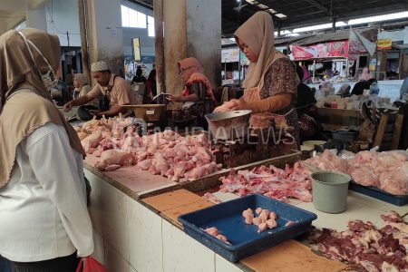 Harga Daging Ayam di Kudus Tembus Rp 40 Ribu Per Kilogram, Emak-Emak Ngeluh