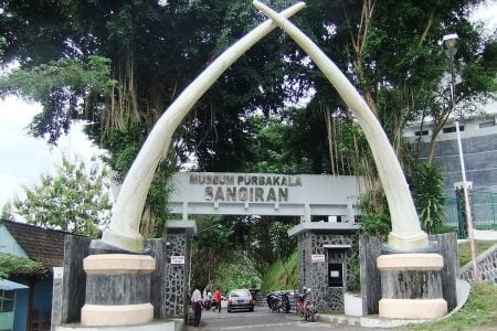 keren-de-tjolomadoe-karanganyar-ditunjuk-jadi-tempat-pameran-prasejarah-terbesar-dunia