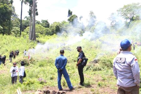 Bareskrim Polri Temukan 25 hentar Ladang Ganja di Aceh