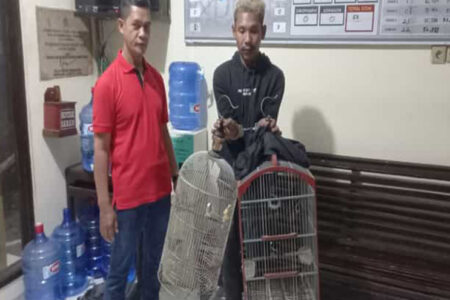 Kepergok Curi Burung, 1 Warga Klaten Ditangkap Warga 1 Lagi Kabur