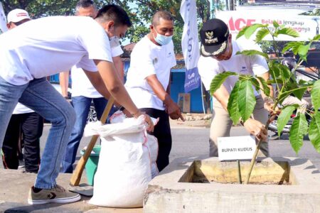 Ratusan Pohon Tabebuya Bakal Percantik Jalan Boulevard Kudus
