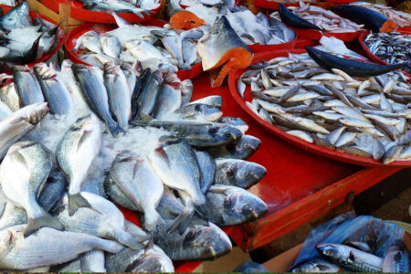 Anak Susah untuk Makan Ikan? Coba Pakai Cara Ini biar Jadi Suka