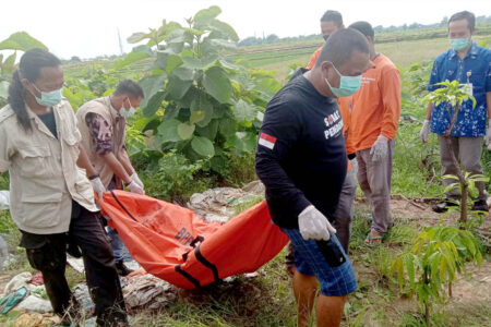 Mayat Membusuk Ditemukan di Persawahan Karangampel Kudus